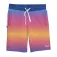 Dgk Venice shorts