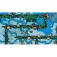 Nintendo Switch Windswept