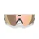 Oakley Vanguard solbriller