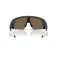 Oakley Vanguard zonnebril
