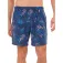 Fundango Bono Print uimashortsit