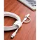 Belkin BOOST USB-C cable