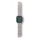 Decoded Correa Titanium Strap Apple Watch Ultra 1&2