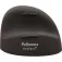 Fellowes Mouse wireless 100143581