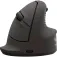 Fellowes Mouse wireless 100143582