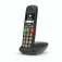 Gigaset E290 Duo Fasttelefon