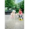 Karcher Accessorio Pet Shower