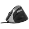 Rapoo Ratolí EV200 Wired Ergonomic