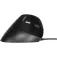 Rapoo EV200 Wired Ergonomic maus