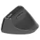 Rapoo Mouse wireless EV310M Wireless Ergonomic