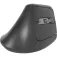 Rapoo EV310M Wireless Ergonomic wireless mouse