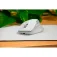 Speedlink Mouse wireless SL-630021-WT