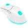 Speedlink Mouse wireless SL-680102-WT
