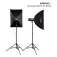Walimex Campaigner 400 HS Set Double Studio Blitz