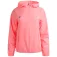 Izas Enna takki