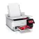 Epson L8160 multifunction printer