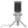 Genesis Radium 250 Streamingmicrofoon