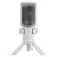 Genesis Micro de streaming Radium 250