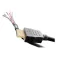 Goobay 41082 HDMI cable