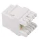 Lanberg KSU5 RJ45-Stecker