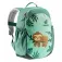 Deuter Pico-5L backpack