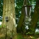 Eurohunt Evolution 2.0 automatic feeder 12V