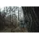 Spypoint FLEX-M2 trail camera 2 units