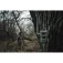 Spypoint FLEX-M2 trail camera 2 units