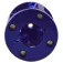 Phaetus Dragon Blue Radiator