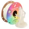 Polymaker Panchroma PLA Translucent CA02037 PLA灯丝