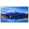 Sharp Schermo MultiSync P656 64.5´´ 4K