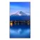 Sharp Schermo MultiSync P656 64.5´´ 4K
