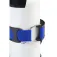Divemarine Pvc Dive Tank Backpack