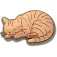 Jibbitz Tabby Cat Stift