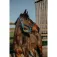 Equitheme Strass Nylon riimu