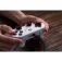 8bitdo Pro 2-Xbox 컨트롤러