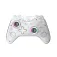Deep explorer Switch 2 Controller Spark