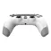 Oniverse Controller PS4 Revolt