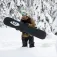 Lib tech Golden orca snowboard