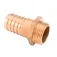 Prosea Conector recto Latón M 3/4´´