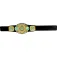 Wwe Intercontinental Title 그림