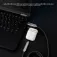 Nanocable Câble USB-C vers USB-C 10.01.2602