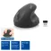 Act Mouse ergonomico AC5101