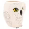 Widdop & co. Caneca Harry Potter Hedwig 3D Mug