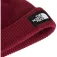 The north face Gorro Salty Lined