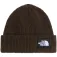 The north face Gorro Salty Lined