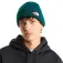 The north face Gorro Salty Lined