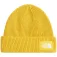 The north face Gorro Salty Lined