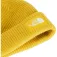 The north face Gorro Salty Lined