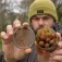 Avid carp L Köderbox